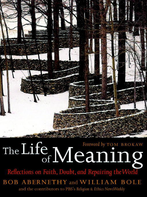 Title details for The Life of Meaning by Bob Abernethy - Available